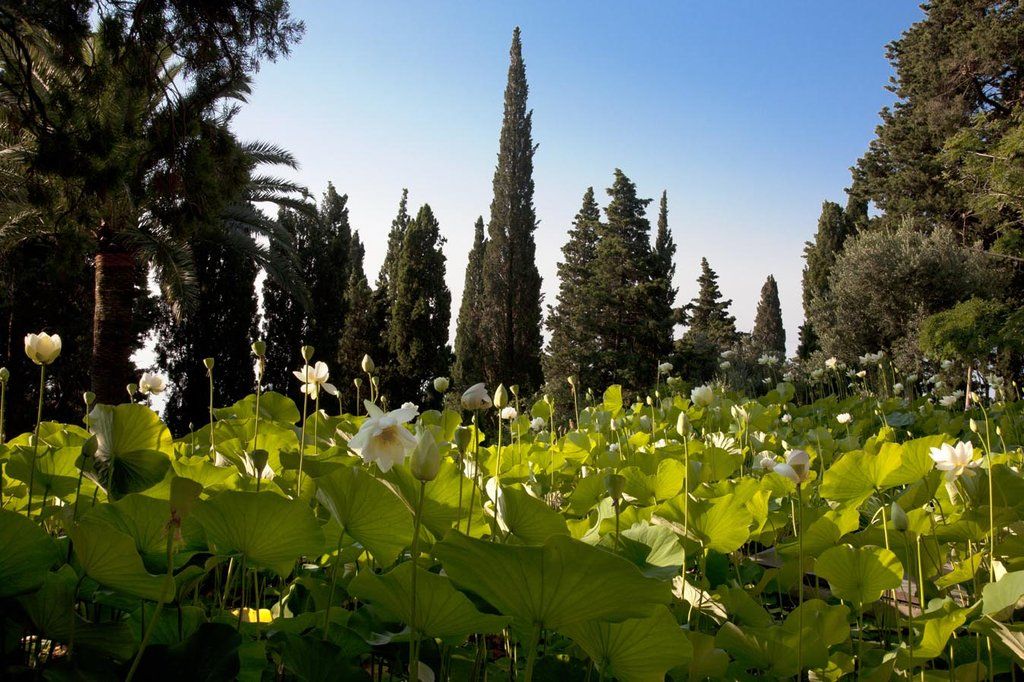 Villa Della Pergola Relais Et Chateaux 알라시오 외부 사진